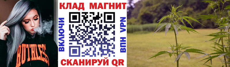 Виды наркоты Кинешма Гашиш Alpha-PVP Меф мяу мяу Конопля Кокаин