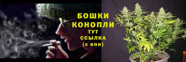 ECSTASY Костерёво
