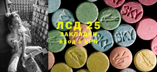ECSTASY Костерёво