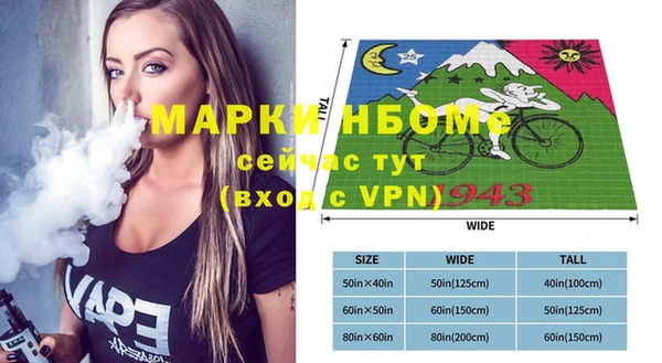 индика Козельск