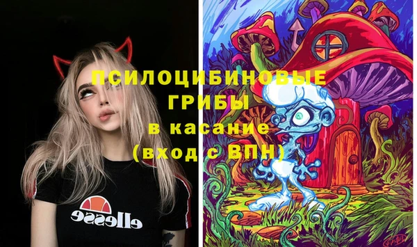 ECSTASY Костерёво
